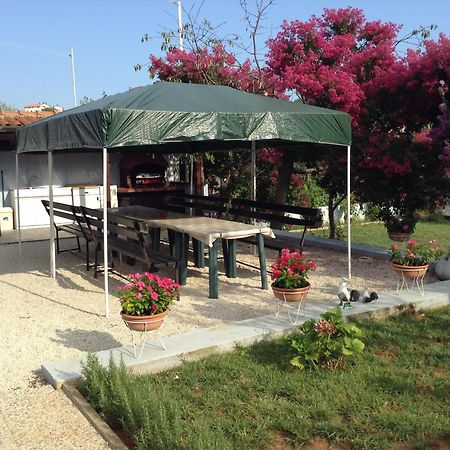 The Blue House Apartment Винкуран Екстериор снимка