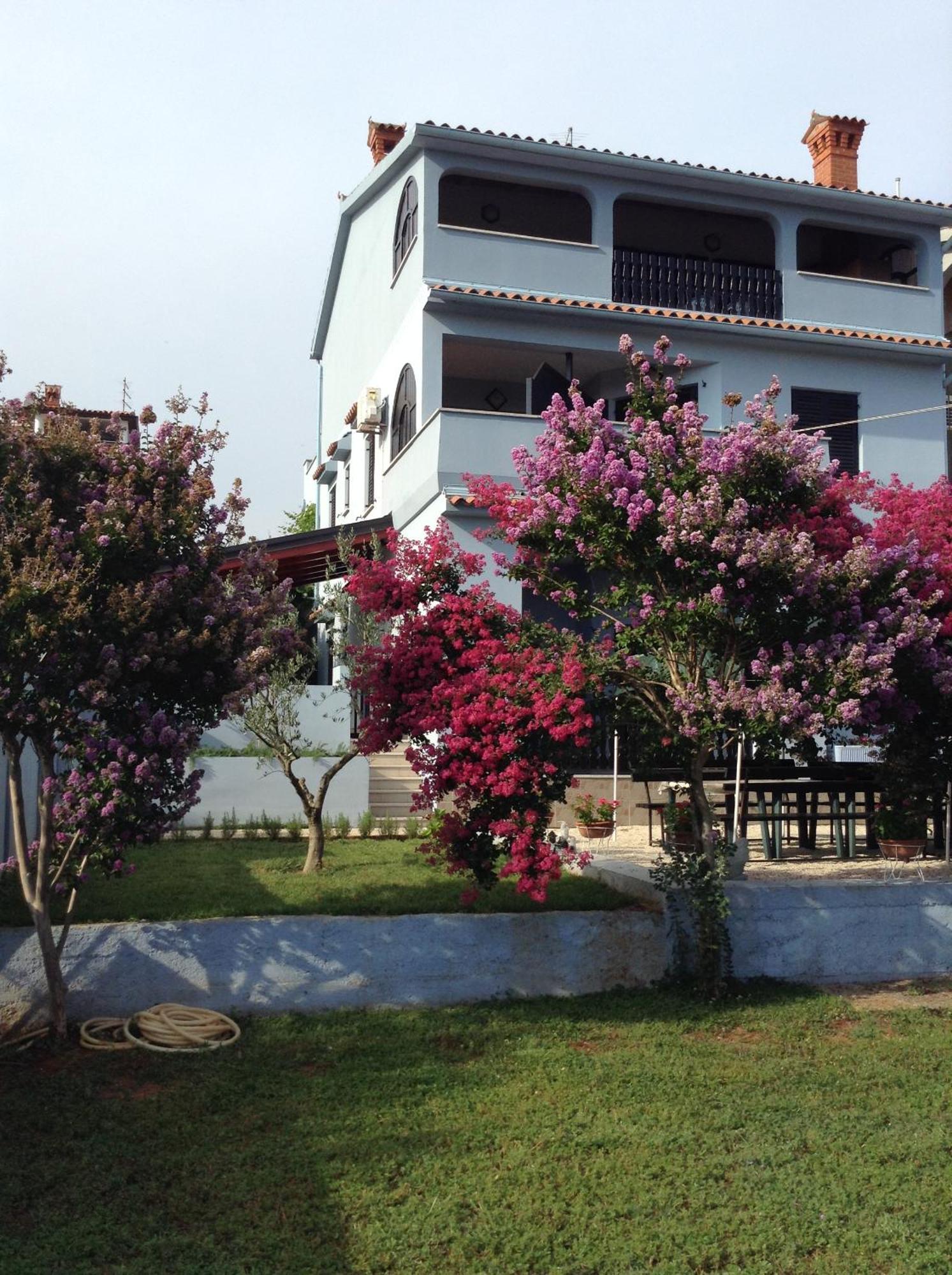 The Blue House Apartment Винкуран Екстериор снимка