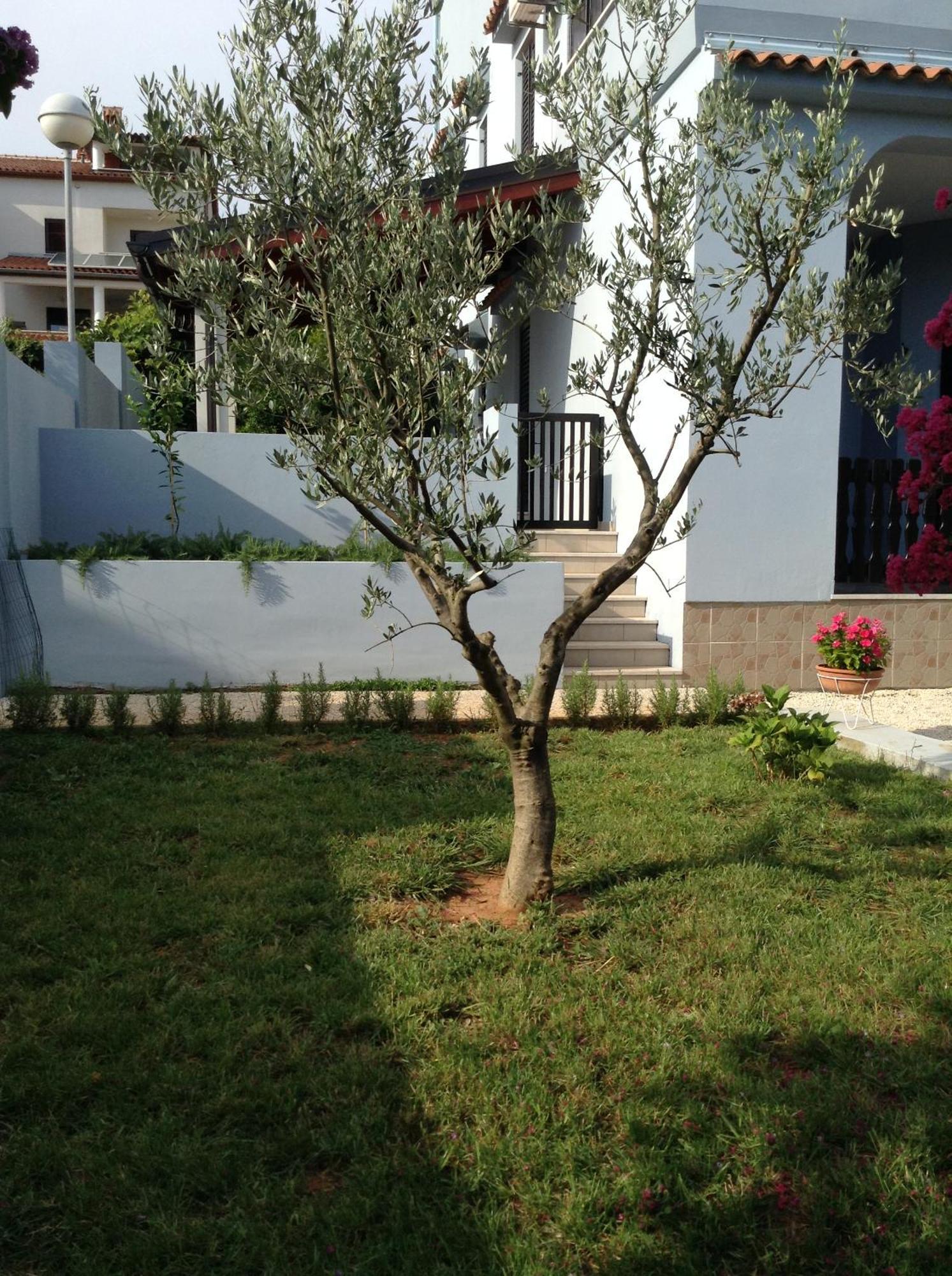 The Blue House Apartment Винкуран Екстериор снимка